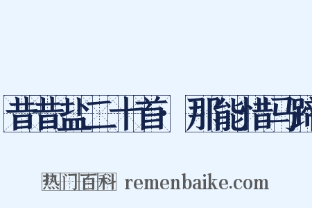 昔昔盐二十首·那能惜马蹄是什么意思的图片